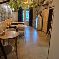 Palo Verde at Palo Verde in Prague