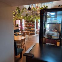 Palo Verde at Palo Verde in Prague