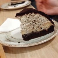 Mule Cake at Palo Verde in Prague