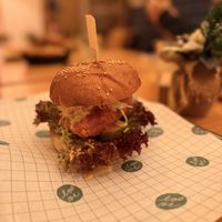   at Palo Verde in Prague