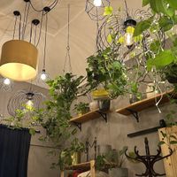   at Palo Verde in Prague