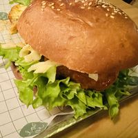   at Palo Verde in Prague