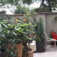 The backyard at Palo Verde in Prague