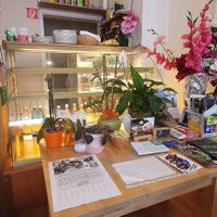 Wissen ist Macht at Hippo Bio Vegan in Hannover