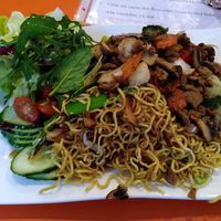 Seitan with noodles at Hippo Bio Vegan in Hannover