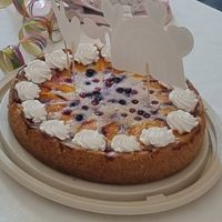 Käsekuchen mit Obst at Hippo Bio Vegan in Hannover