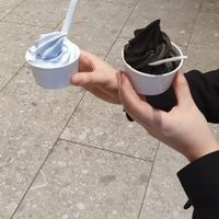 Gelato di latte di cocco ( a destra) con fave di cacao e carbone attivo VEGANO e davvero davvero DELIZIOSO at Roll Eat in Arese