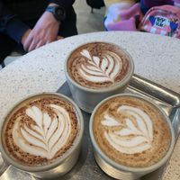   at Buddy Buddy in Brussels