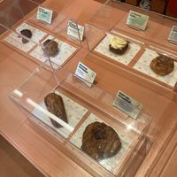  at Buddy Buddy in Brussels