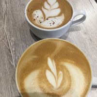 Lattes at Back To Eden Bakery in Portland
