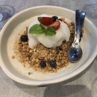 Pear and maple  at Marina Lunga in Marrickville