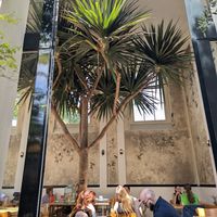  at Hortus Botanicus in Amsterdam