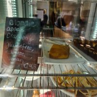  at Hortus Botanicus in Amsterdam