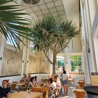  at Hortus Botanicus in Amsterdam