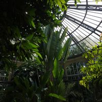  at Hortus Botanicus in Amsterdam