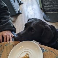  at Granny's Kitchen in Lampeter