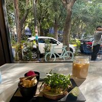 Avocado toast 2.0 with vegan latte paired with a wonderful view   at Mora Mora - Condesa in Mexico City