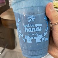   at Mora Mora - Condesa in Mexico City