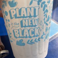   at Mora Mora - Condesa in Mexico City