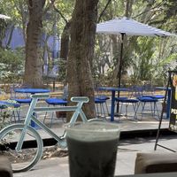   at Mora Mora - Condesa in Mexico City