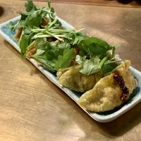 Mala Gyoza at Takumi 3rd in Dusseldorf