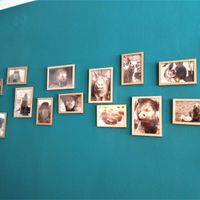 Tier Portraits / animal portrait gallery at Fräulein Grün in Garmisch Partenkirchen