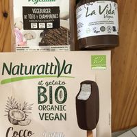 Vegan products : tofu and mushrooms steaks, chocolate and nuts spread, coconut and chocolate ice cream  at Unide Supermercado in El Hierro