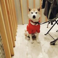  at Shochiku-en in Tokyo