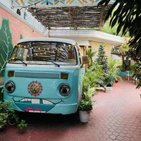   at Changomango in Merida