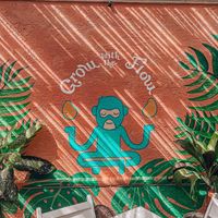 ✨  at Changomango in Merida