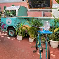 Mix your own smoothie! at Changomango in Merida