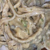 Chefs special - fettuccini Alfredo  at Plant in Fairfield
