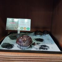  at Muffin Boutique in Jerusalem