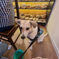 SUNDY!!!! at Odete Bakery in Porto