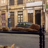 View from the inside at Odete Bakery in Porto