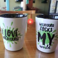 wheatgrass shots at the Greenroom. at Green Room Cafe in Cocoa Beach