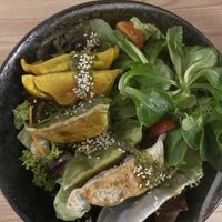 Homei Bowl with vegan mix gyoza and Koriander sauce  at Homei Gyoza in Bonn