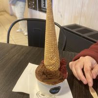 Vegan chocolate and Calafate, with vegan cone  at Aluen Patagonia in Puerto Natales