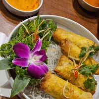 Spring roll with vegetables at Tung's Kitchen in Hanoi