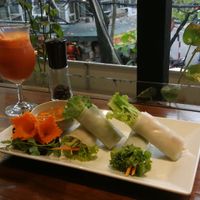 Fresh spring rolls at Tung's Kitchen in Hanoi