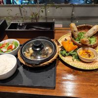 Spring Rolls and tofu in curry. at Tung's Kitchen in Hanoi