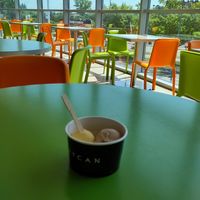  at Grycan in Suwalki