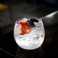 Fancy G&T at Alphington Social in Alphington