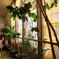  at Takano in Kanazawa