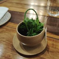  at Manga in Salvador