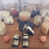 . at Casa Aberta in Salvador