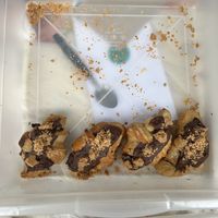   at Feira Vegana Salvador in Salvador