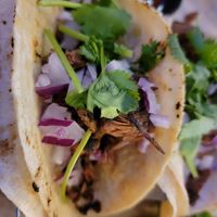 Jackfruit tacos at The Annex Crafthouse in Houston