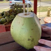 They cut off the top of the coconut so we could drink the water inside  at The Thai and Smoothie Place in Waimea