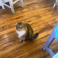   at Sakti Hostal y Pasteleria in Quito